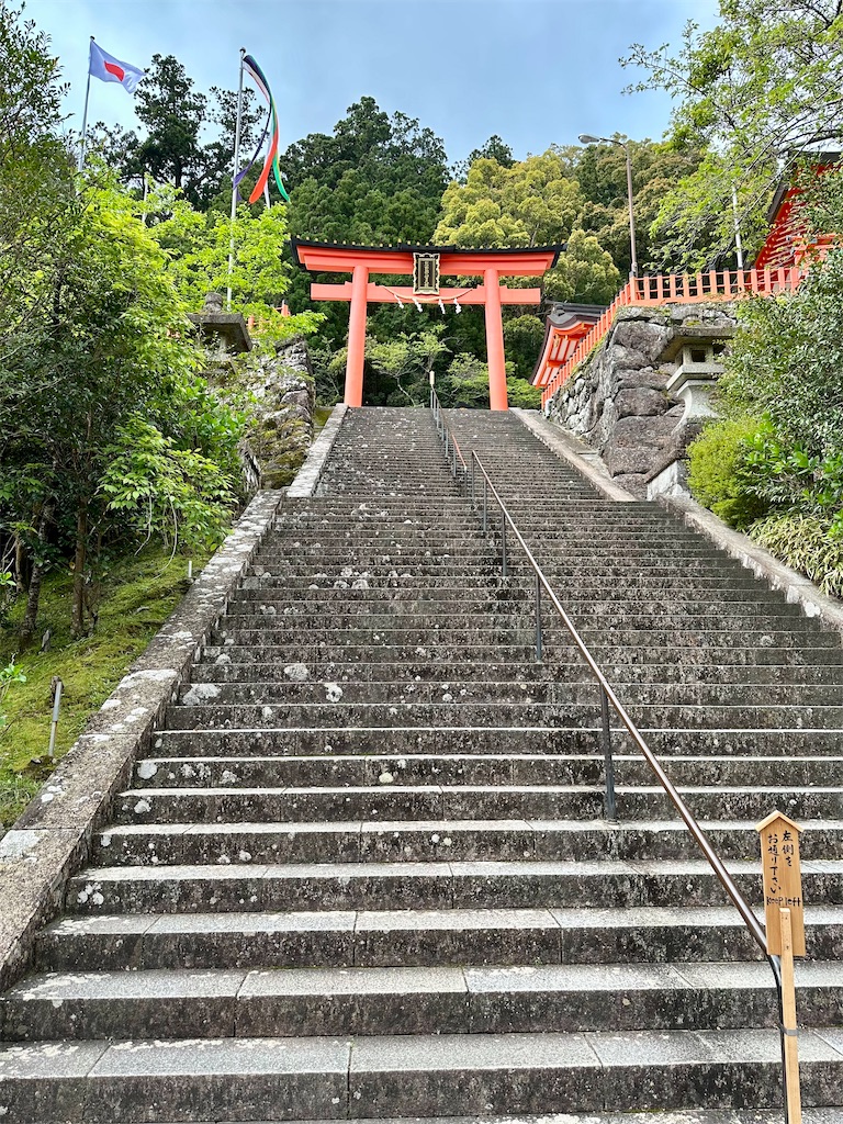 f:id:manao-life:20240523231822j:image f:id:manao-life:20240523231822j:image