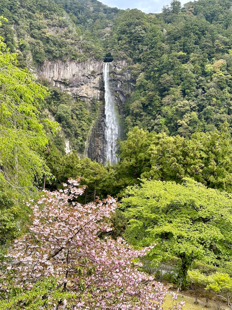 f:id:manao-life:20240523232247j:image f:id:manao-life:20240523232247j:image