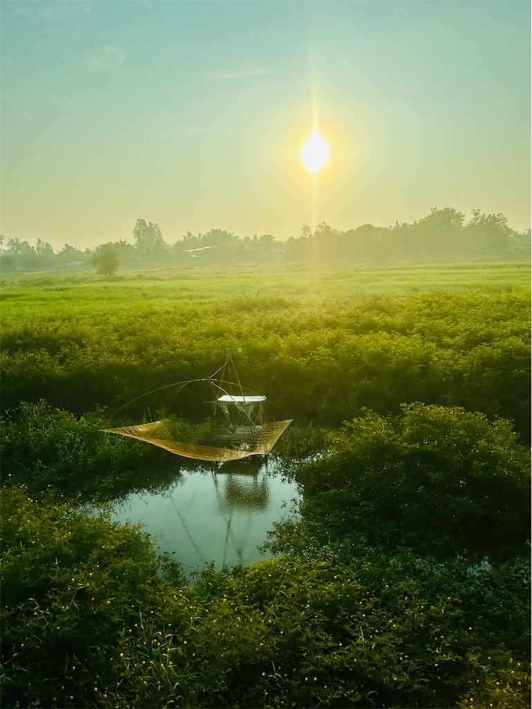 f:id:manao-life:20241018175840j:image