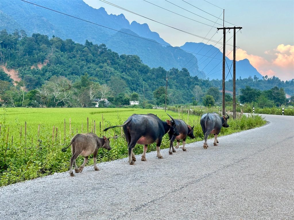 f:id:manao-life:20241023002103j:image