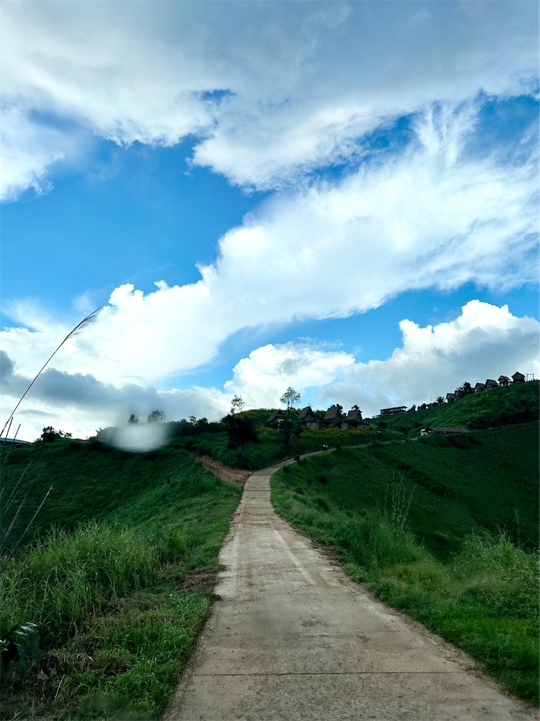 f:id:manao-life:20241105204701j:image