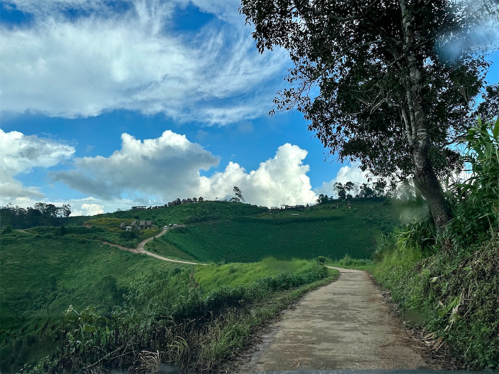 f:id:manao-life:20241105204742j:image