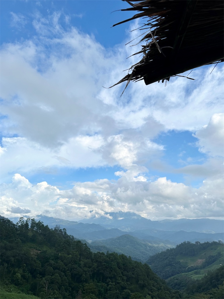 f:id:manao-life:20241105205257j:image