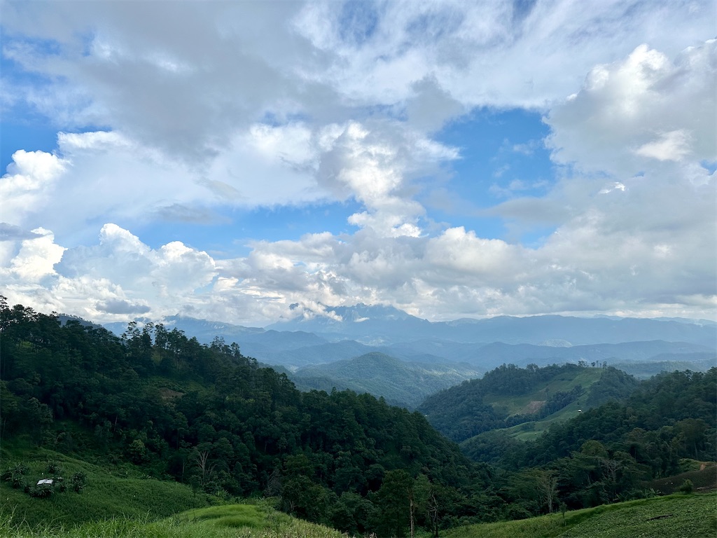 f:id:manao-life:20241105205301j:image