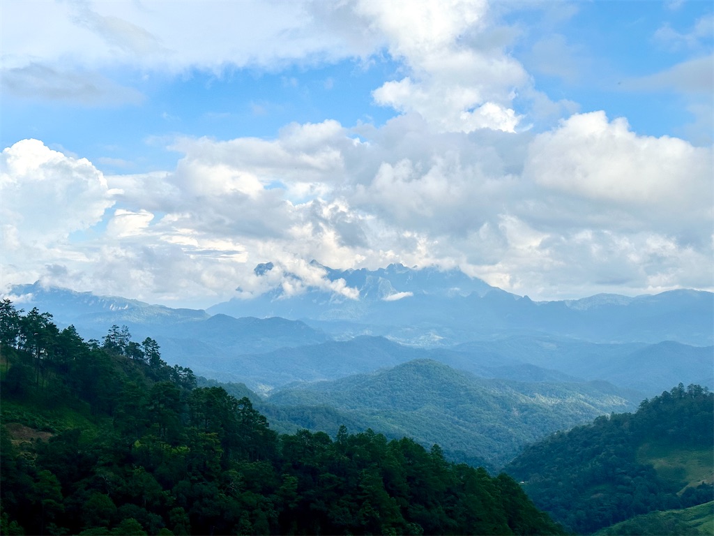 f:id:manao-life:20241105205459j:image