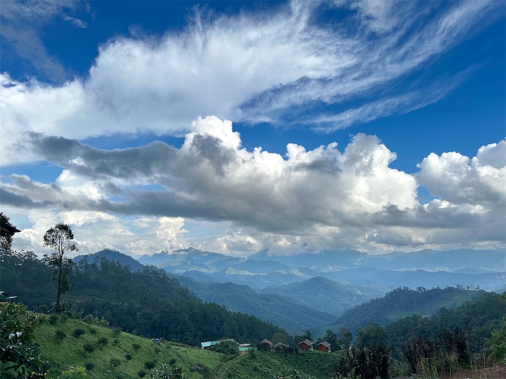 f:id:manao-life:20241105205607j:image