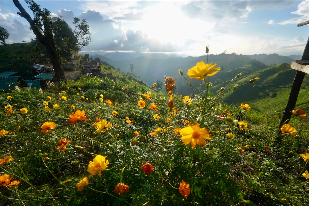 f:id:manao-life:20241105205906j:image