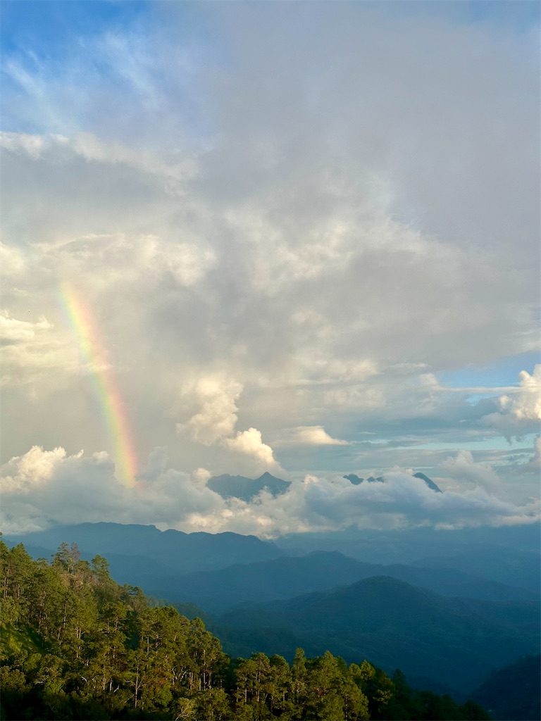 f:id:manao-life:20241105205910j:image