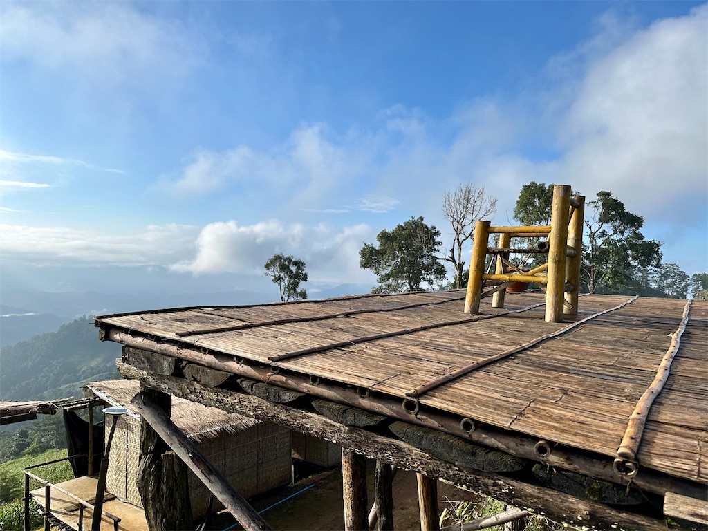 f:id:manao-life:20241105210256j:image