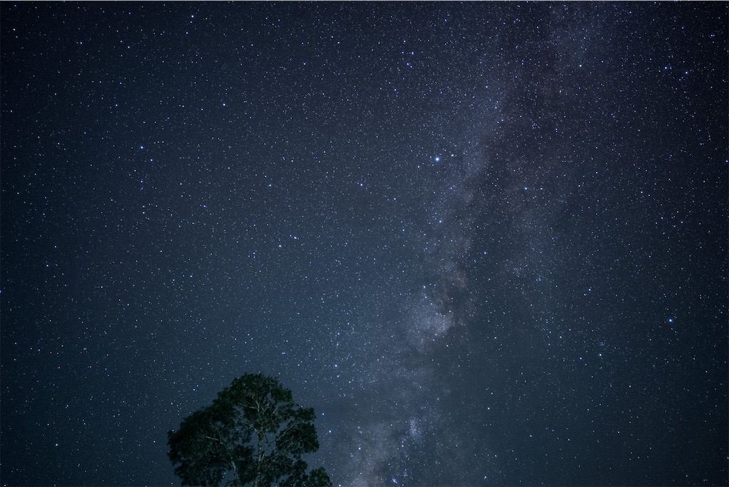 f:id:manao-life:20241105210406j:image