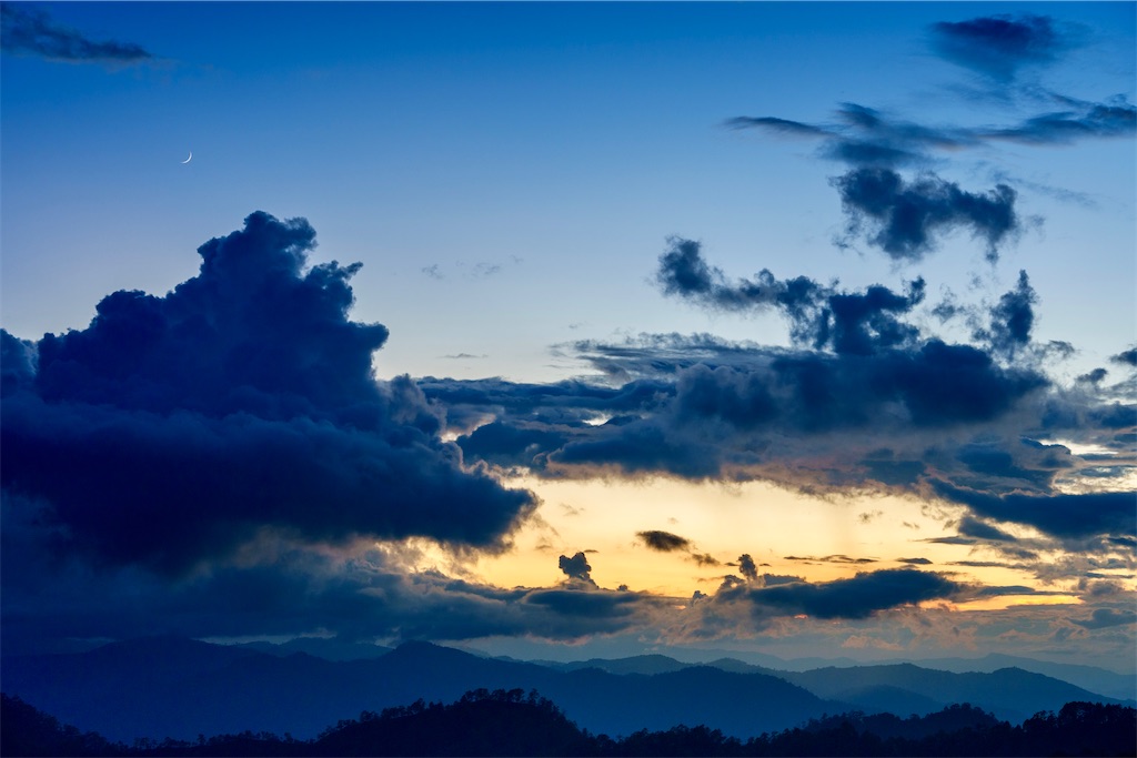 f:id:manao-life:20241106223541j:image