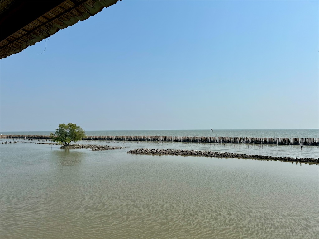 f:id:manao-life:20250218234517j:image