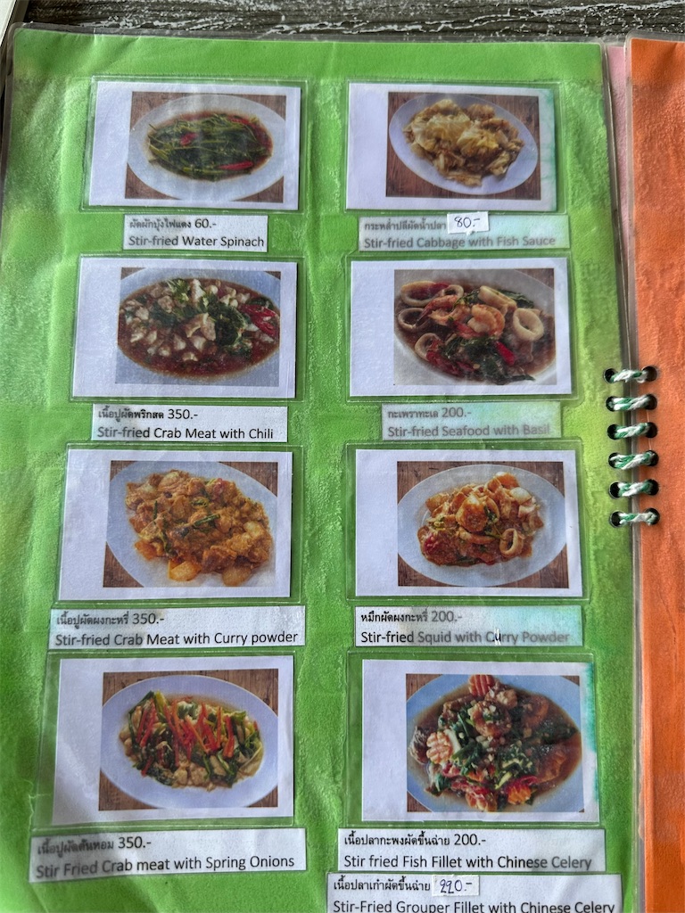 f:id:manao-life:20250218234615j:image