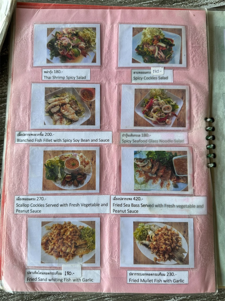 f:id:manao-life:20250218234742j:image