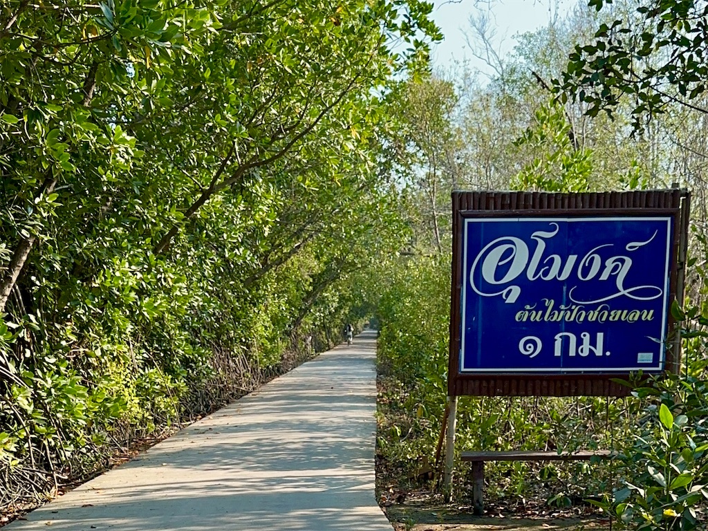 f:id:manao-life:20250218234954j:image