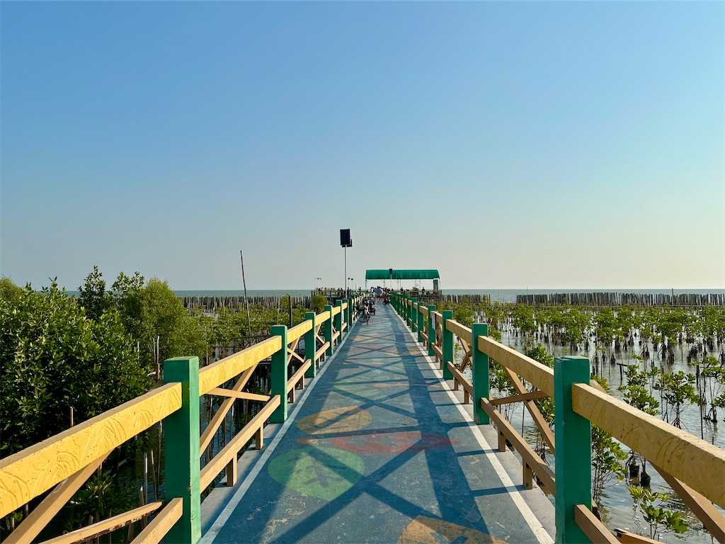 f:id:manao-life:20250218235236j:image