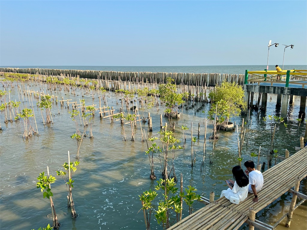 f:id:manao-life:20250218235348j:image