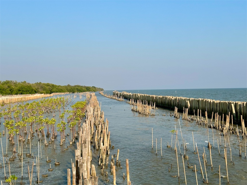 f:id:manao-life:20250218235445j:image