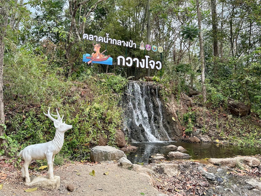 f:id:manao-life:20250226235746j:image
