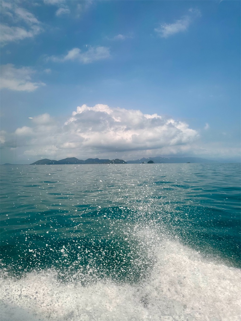 f:id:manao-life:20250307082204j:image