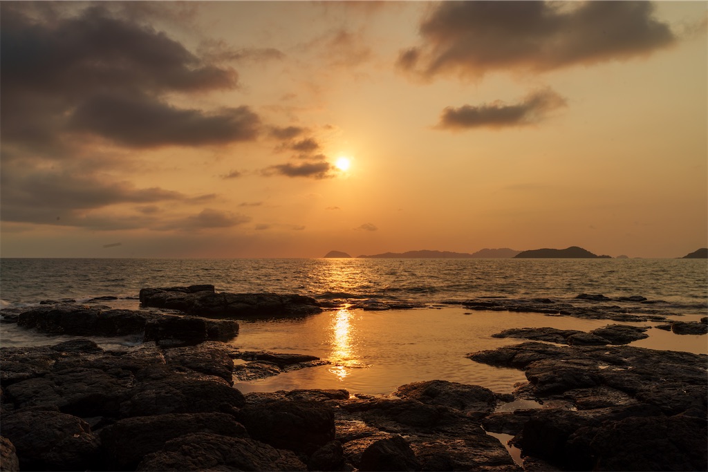 f:id:manao-life:20250308113029j:image