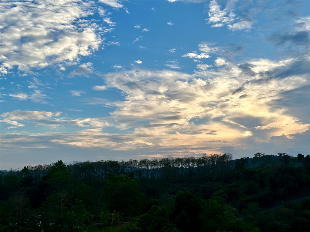 f:id:manao-life:20250604194141j:image