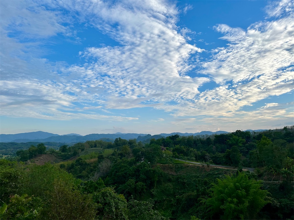 f:id:manao-life:20250604194144j:image