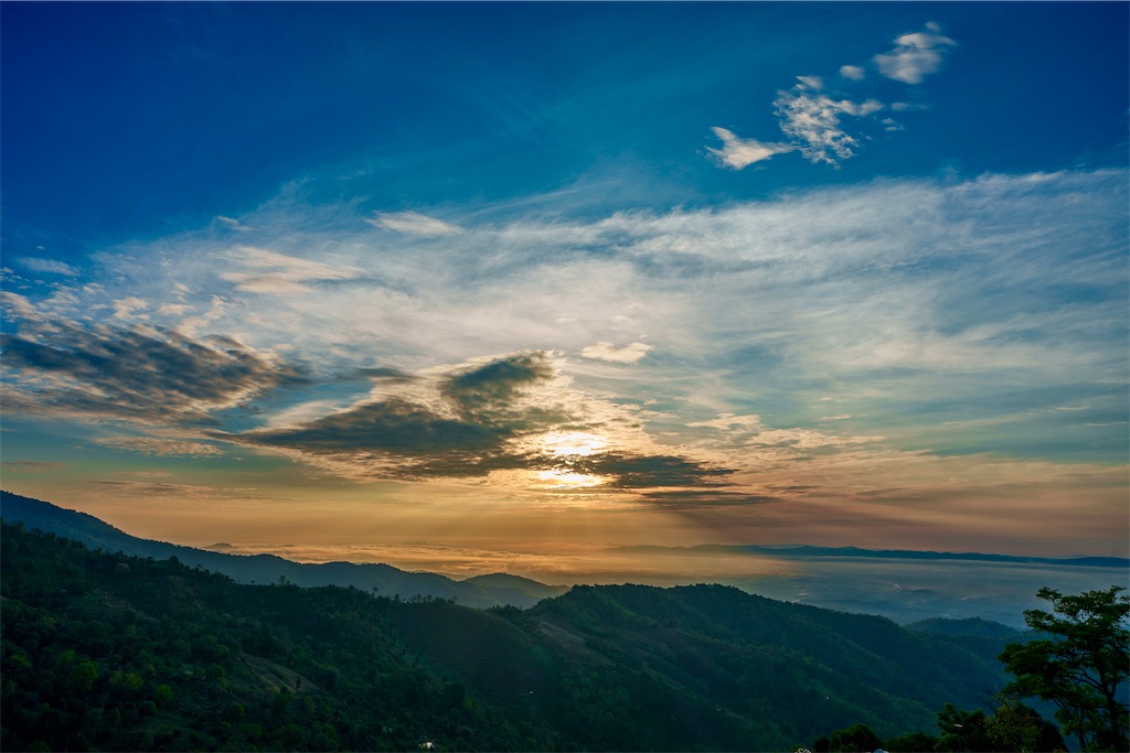 f:id:manao-life:20250615192705j:image