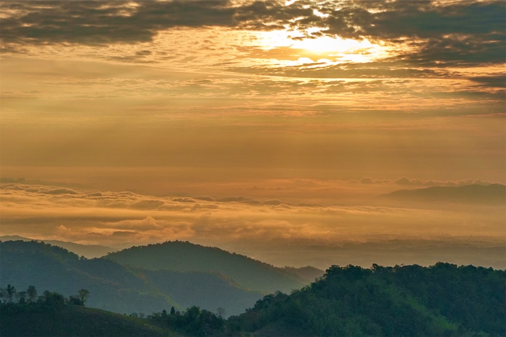 f:id:manao-life:20250615192708j:image