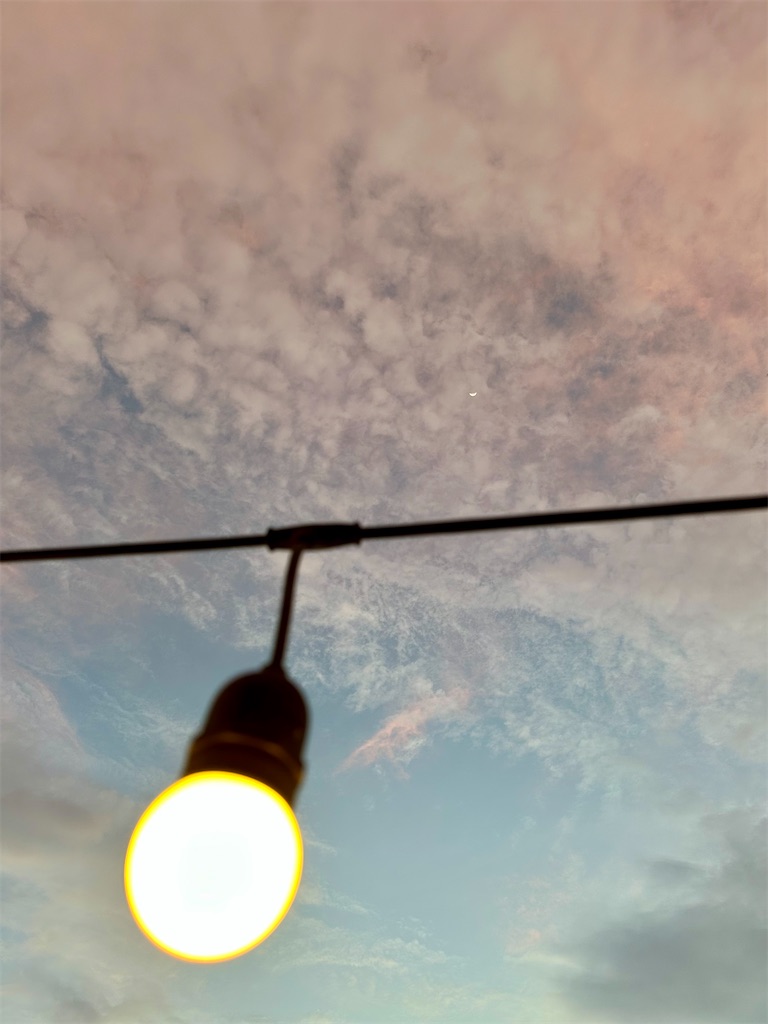 f:id:manao-life:20250616222152j:image