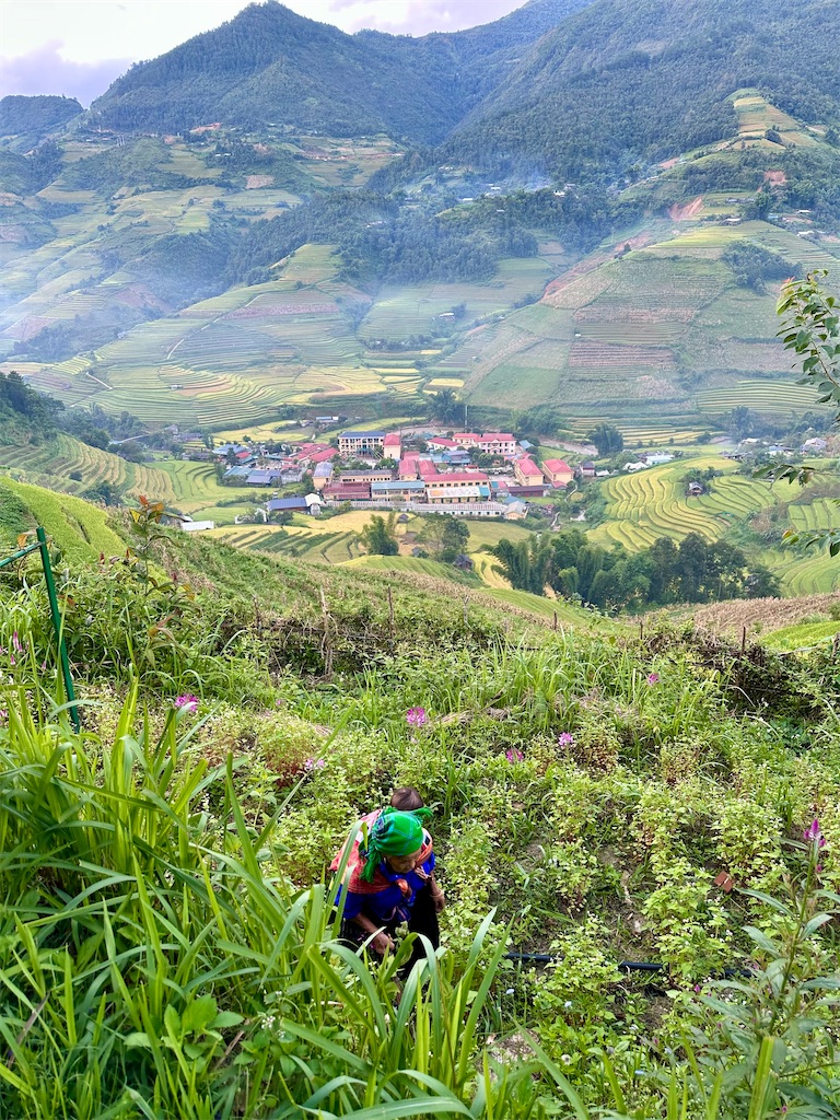 f:id:manao-life:20251005091434j:image f:id:manao-life:20251005091434j:image