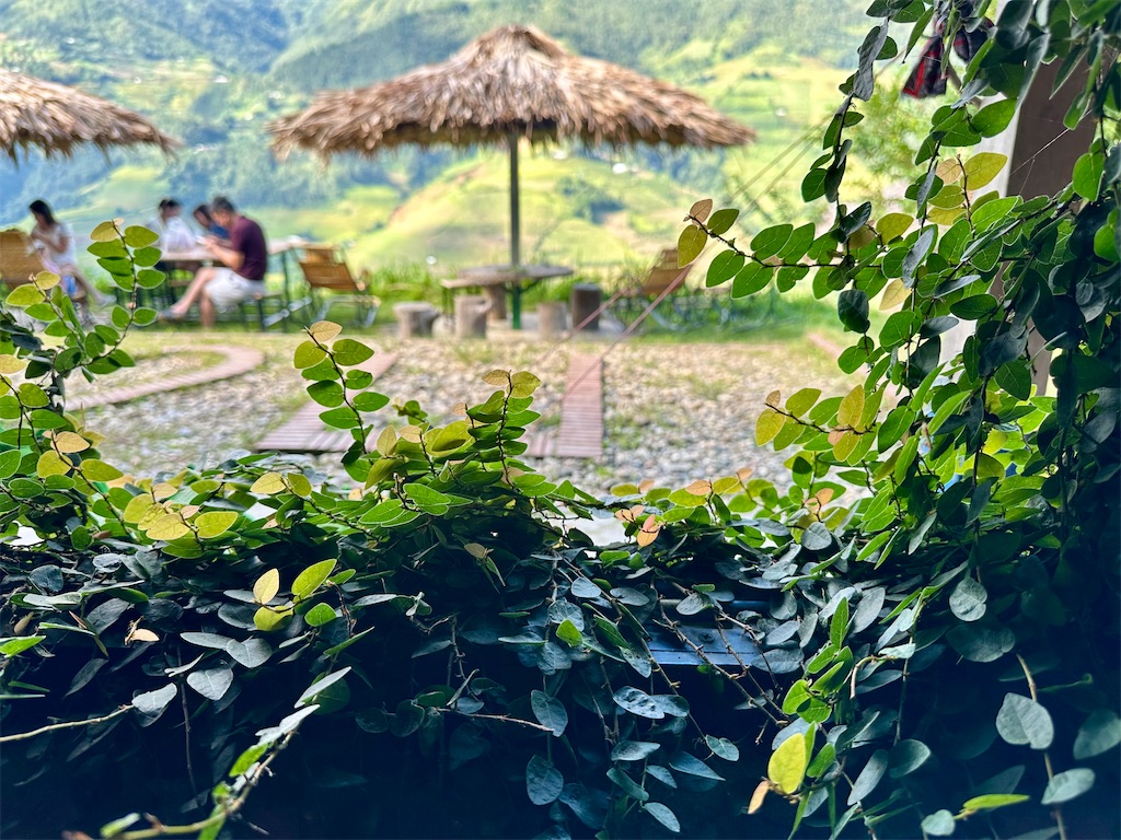 f:id:manao-life:20251005091831j:image f:id:manao-life:20251005091831j:image