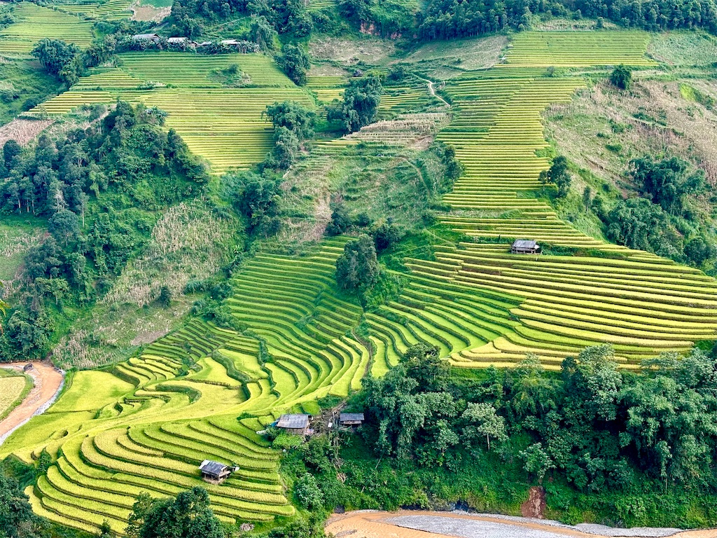 f:id:manao-life:20251005092130j:image f:id:manao-life:20251005092130j:image