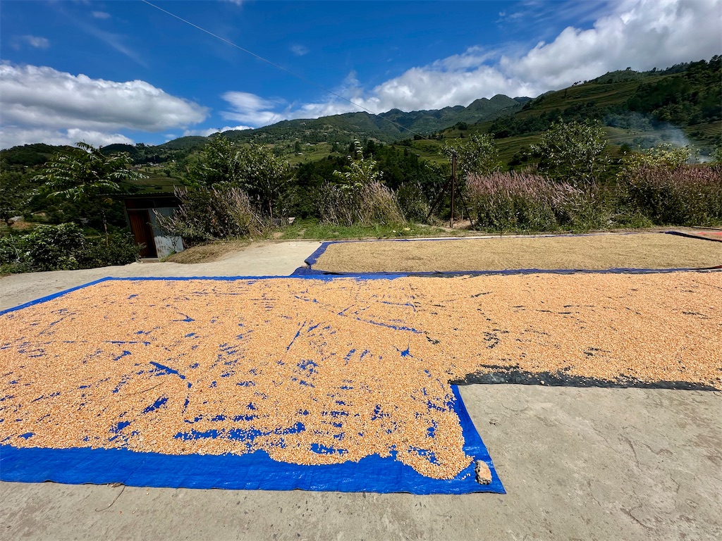 f:id:manao-life:20251005092808j:image f:id:manao-life:20251005092808j:image