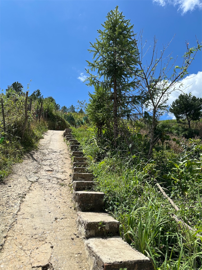 f:id:manao-life:20251005092902j:image f:id:manao-life:20251005092902j:image