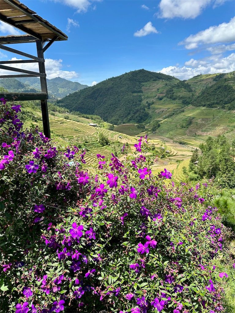 f:id:manao-life:20251005092932j:image f:id:manao-life:20251005092932j:image