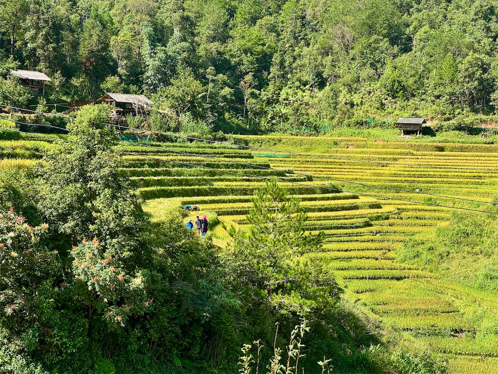 f:id:manao-life:20251005123807j:image f:id:manao-life:20251005123807j:image