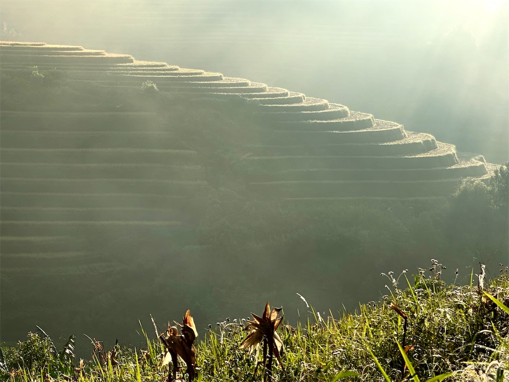 f:id:manao-life:20251005134020j:image f:id:manao-life:20251005134020j:image