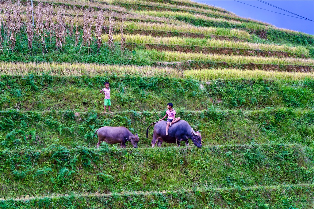 f:id:manao-life:20251005142445j:image f:id:manao-life:20251005142445j:image