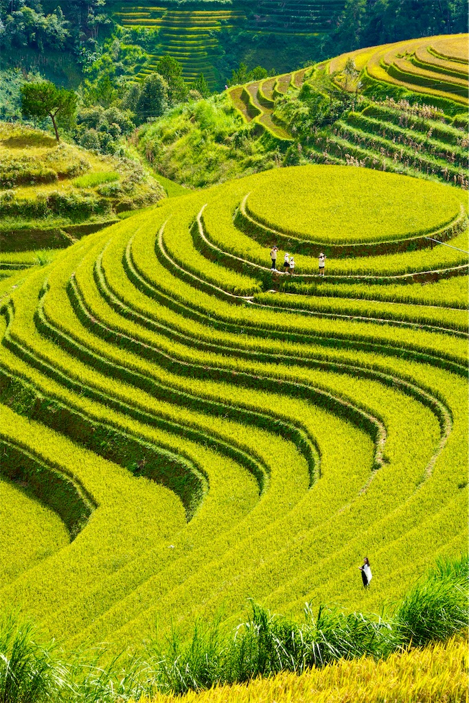 f:id:manao-life:20251007193228j:image f:id:manao-life:20251007193228j:image