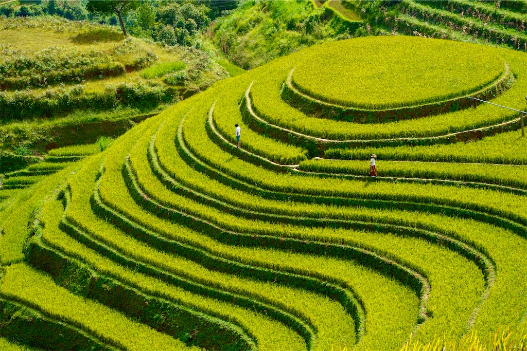 f:id:manao-life:20251007193232j:image f:id:manao-life:20251007193232j:image