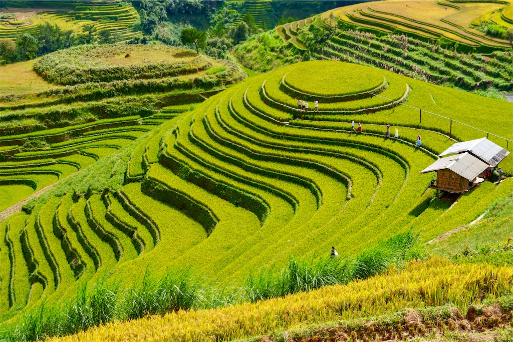 f:id:manao-life:20251007193403j:image f:id:manao-life:20251007193403j:image