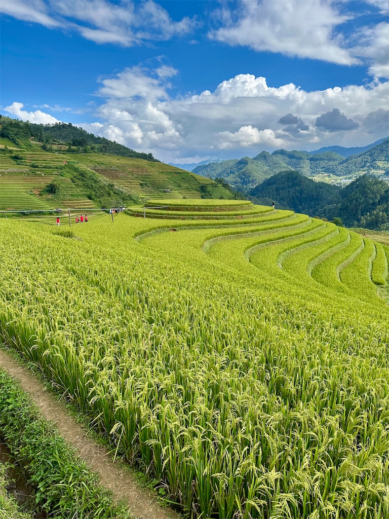 f:id:manao-life:20251007193646j:image f:id:manao-life:20251007193646j:image