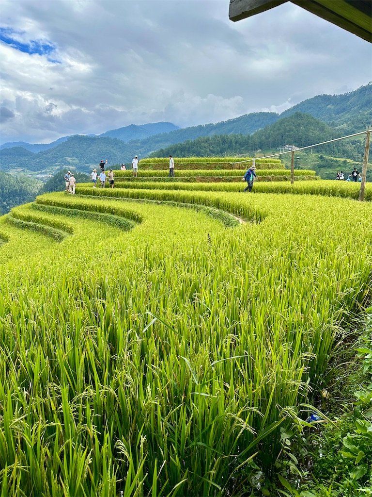 f:id:manao-life:20251007193734j:image f:id:manao-life:20251007193734j:image