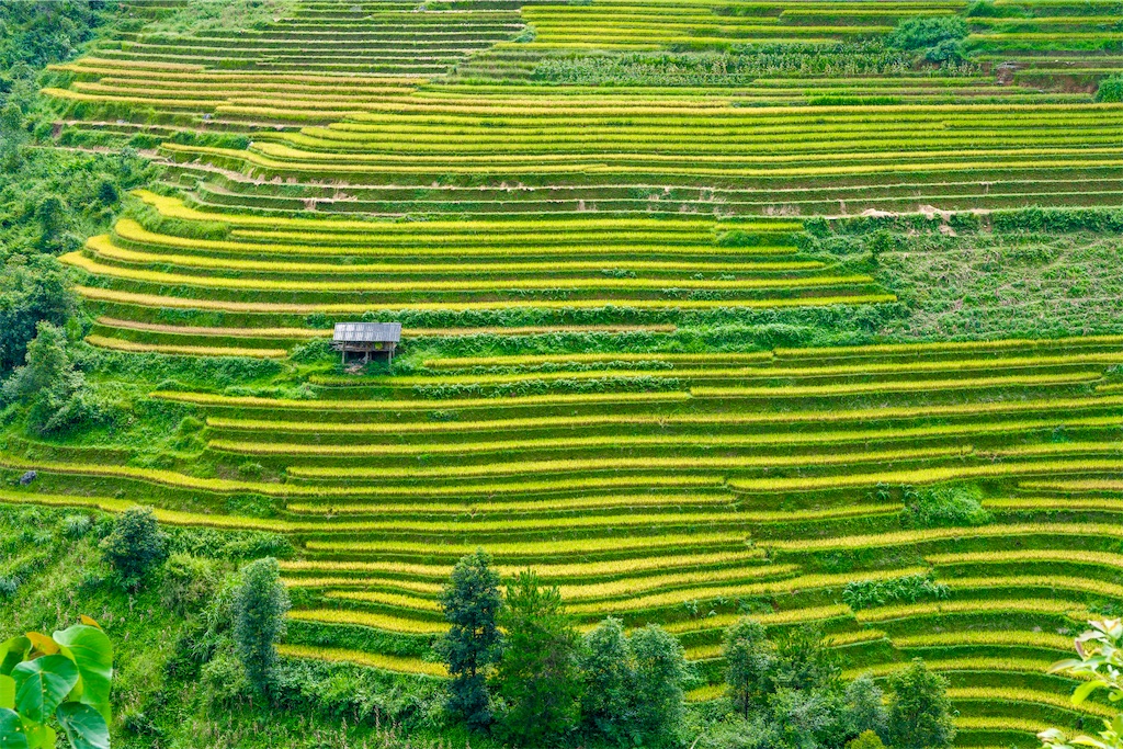 f:id:manao-life:20251007194203j:image f:id:manao-life:20251007194203j:image