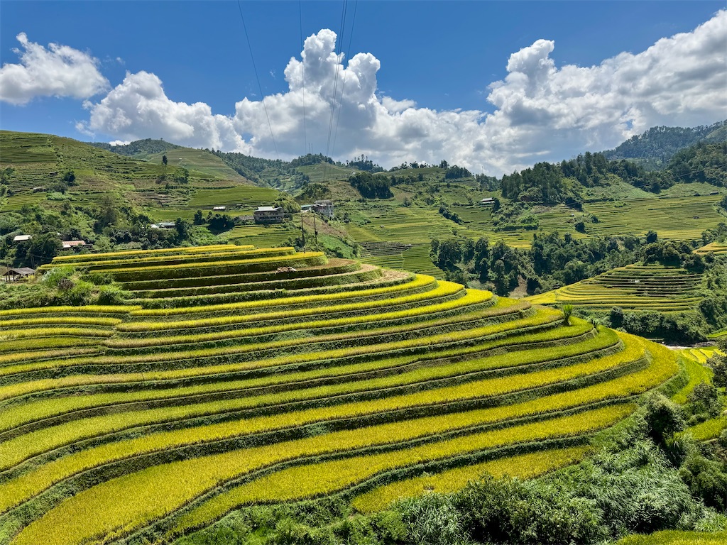 f:id:manao-life:20251007234815j:image f:id:manao-life:20251007234815j:image