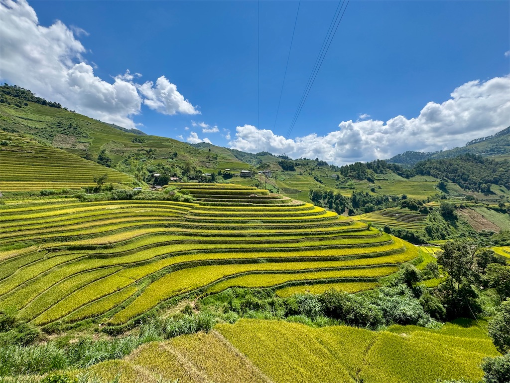 f:id:manao-life:20251007234823j:image f:id:manao-life:20251007234823j:image