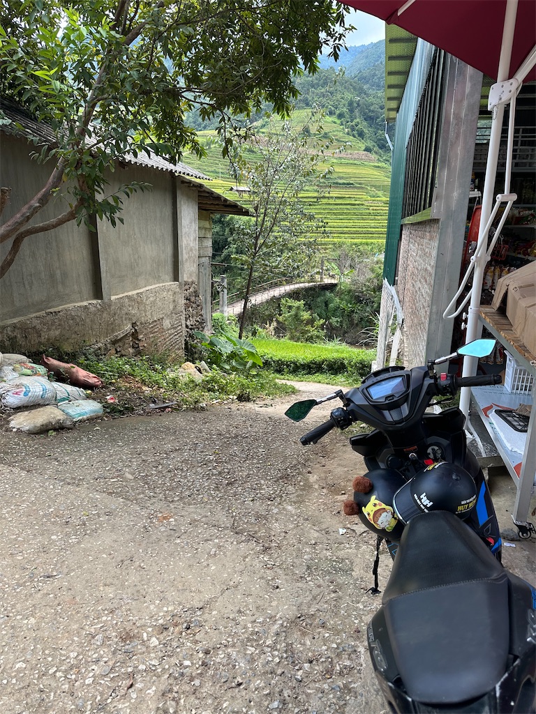 f:id:manao-life:20251009091842j:image f:id:manao-life:20251009091842j:image