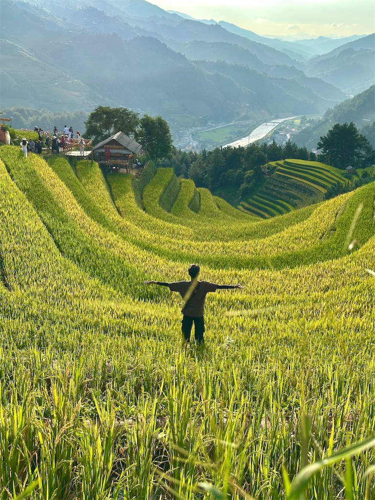 f:id:manao-life:20251009093300j:image f:id:manao-life:20251009093300j:image