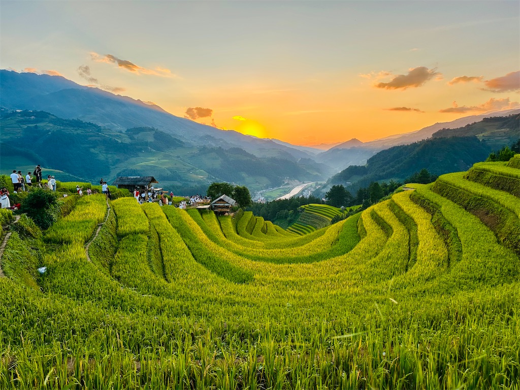 f:id:manao-life:20251009093557j:image f:id:manao-life:20251009093557j:image